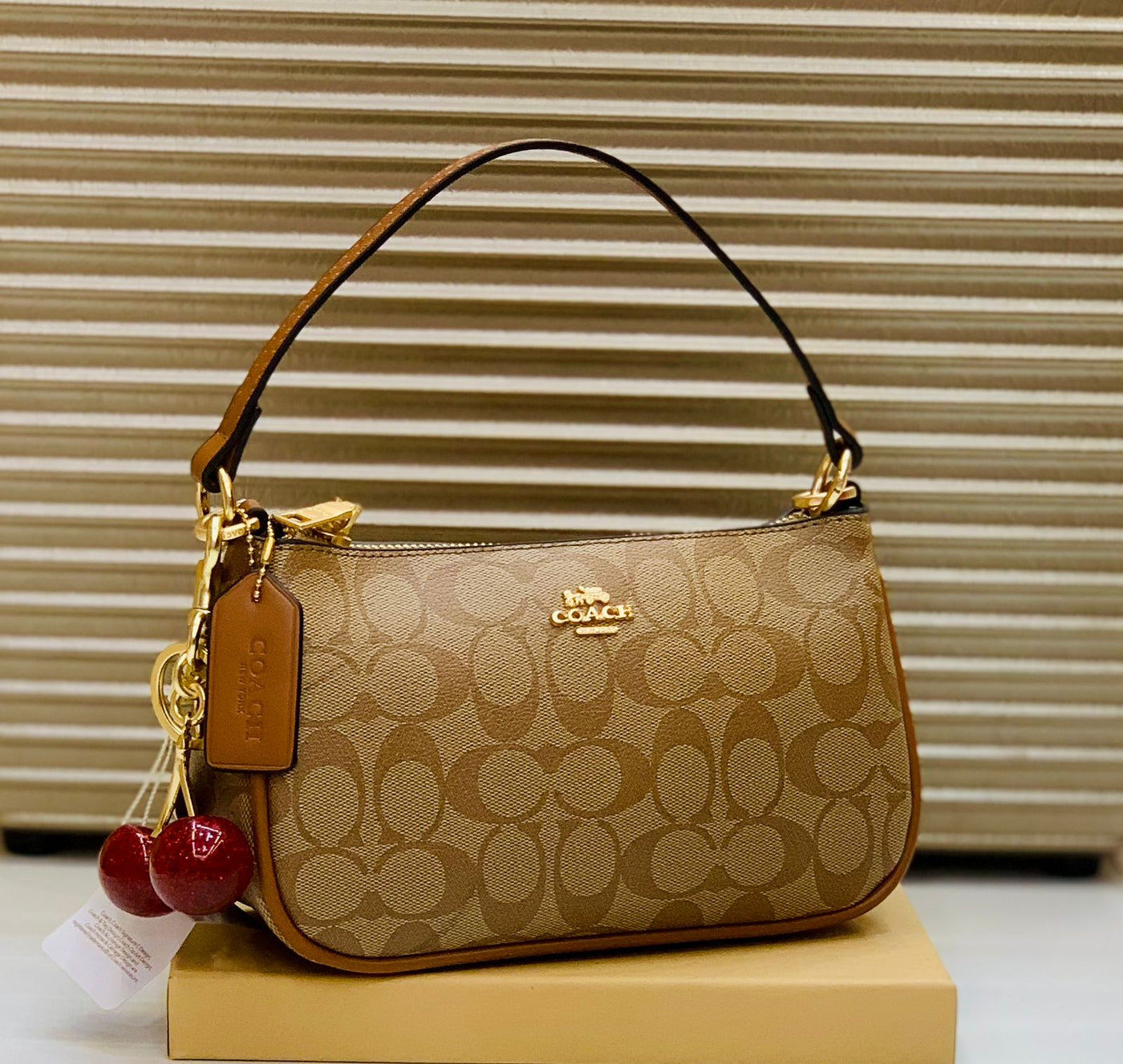 Famous Brand Coa-ch Teri bag for women