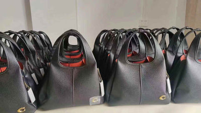 Famous Brand co-ach shoulder bag for women