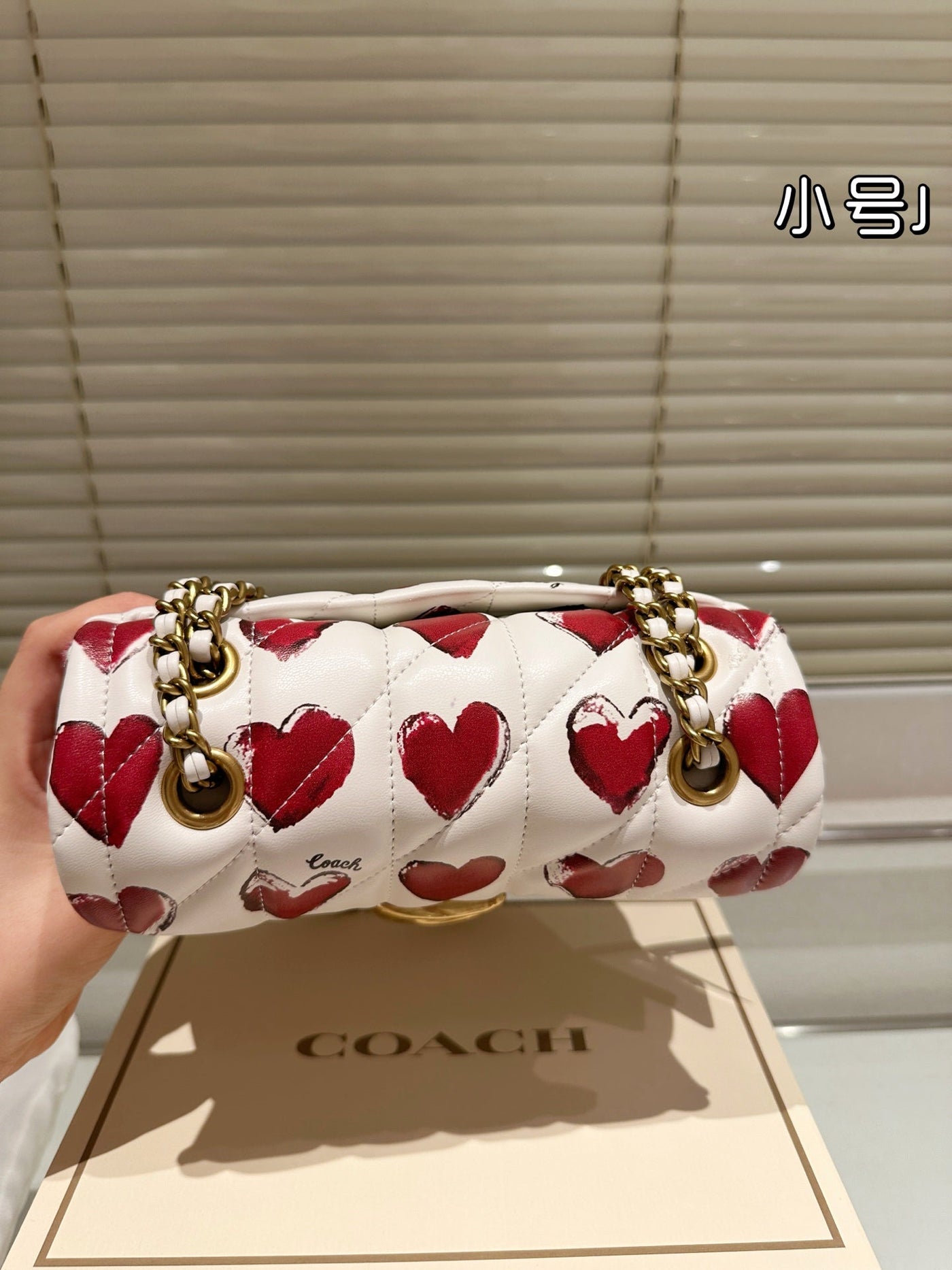 Luxury Brand Co-ach Tabby 20 Quilted with Heart Prints Shoulder Bag (Pre Order)