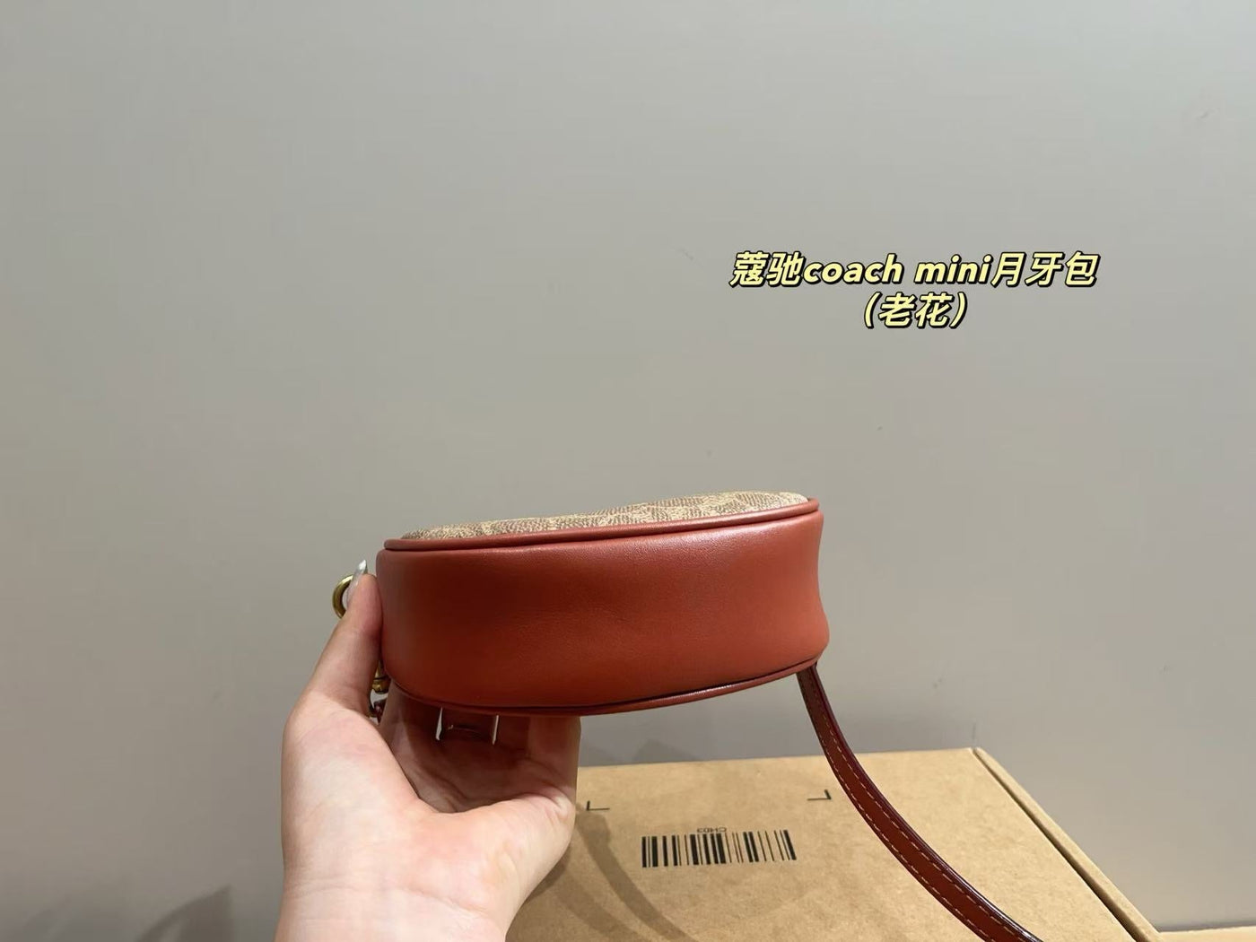 Coach Carmen Mini Crossbody bag (pre order)