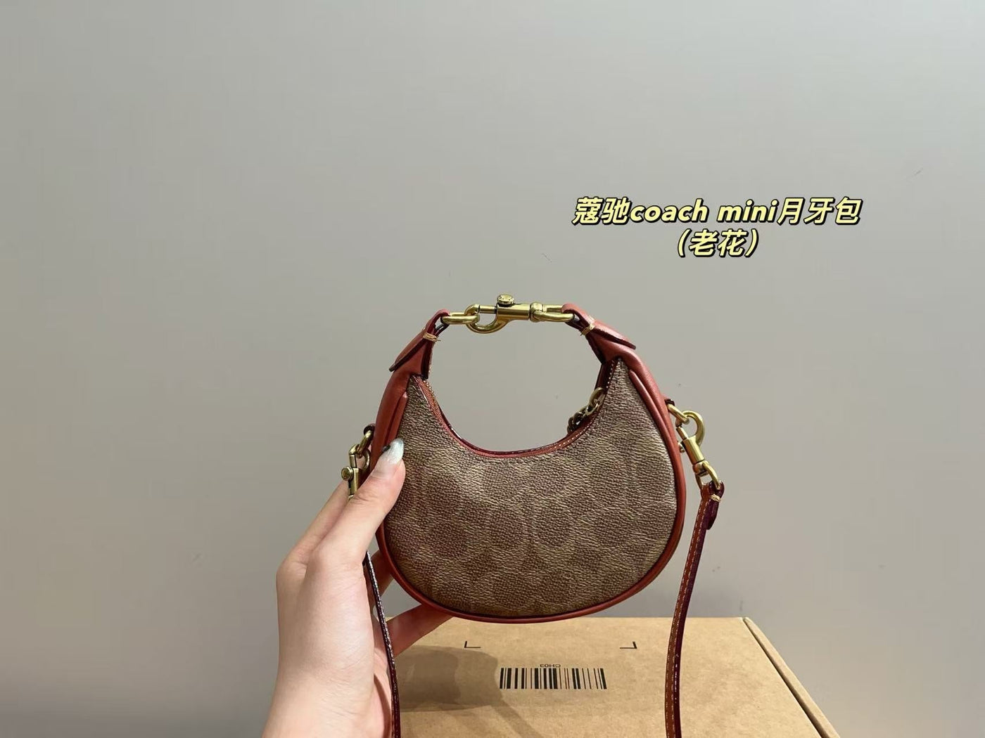 Coach Carmen Mini Crossbody bag (pre order)