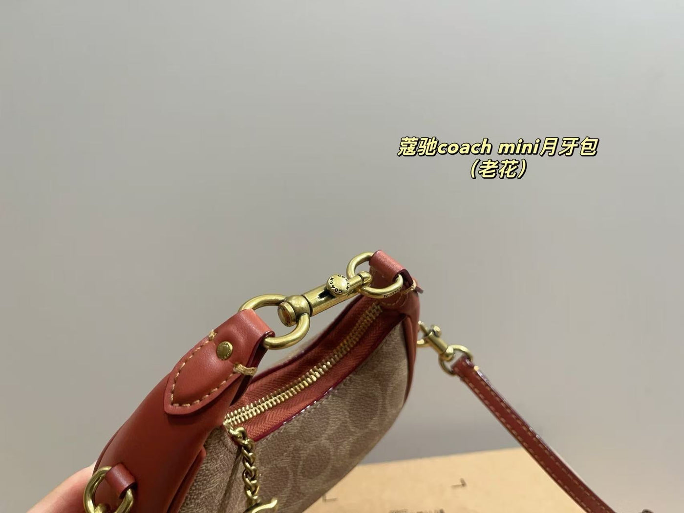 Coach Carmen Mini Crossbody bag (pre order)