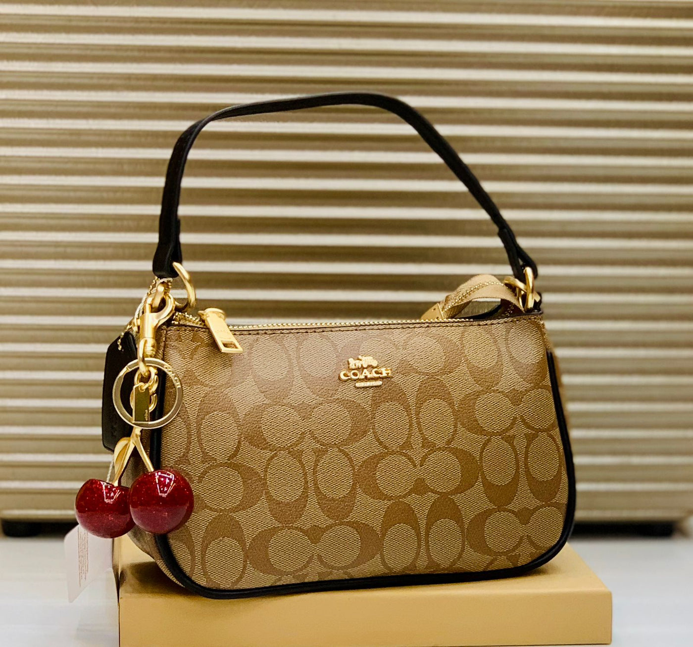 Famous Brand Coa-ch Teri bag for women