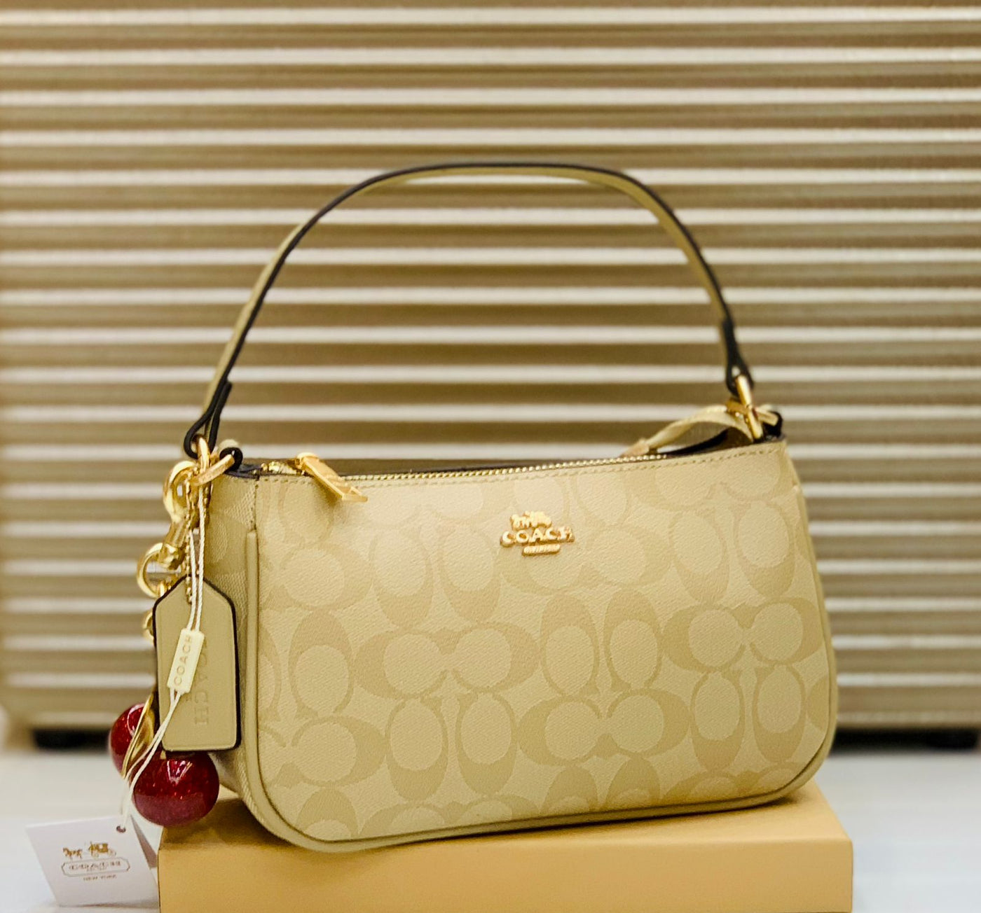 Famous Brand Coa-ch Teri bag for women