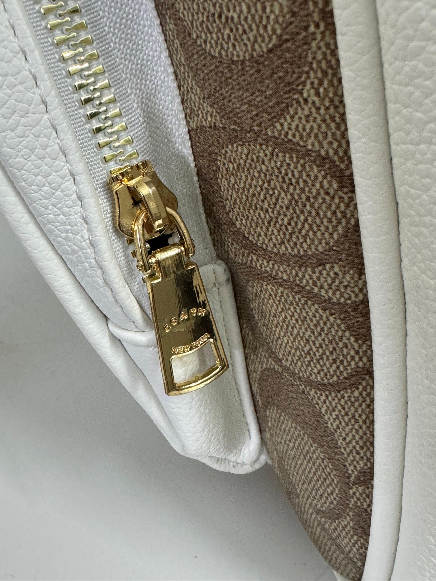 Coach Court Backpack in Signature Canvas