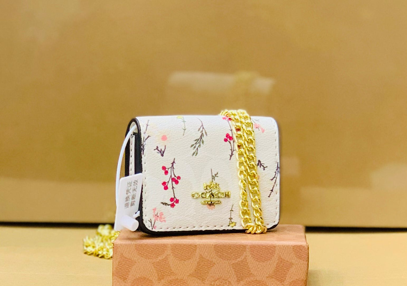 Luxury Co-ach Mini Crossbody Bag with Long Chain