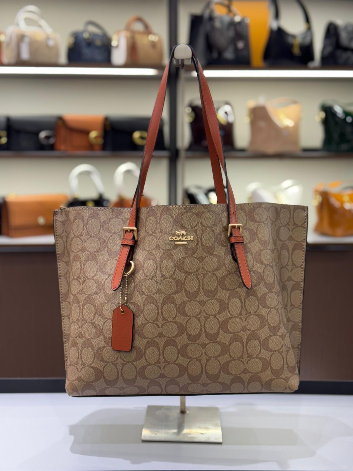 Luxury Brand Co-ach Mollie Tote bag for Women