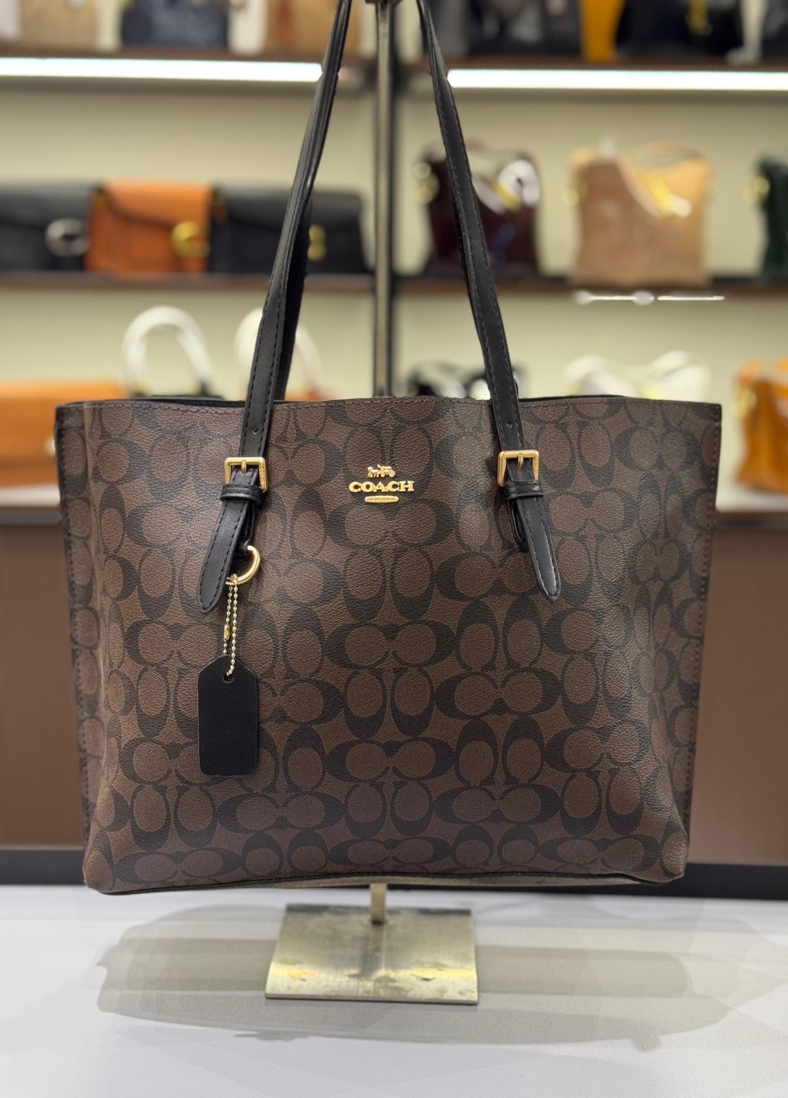 Luxury Brand Co-ach Mollie Tote bag for Women