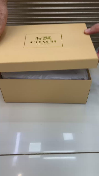 Famous Brand Coa-ch Teri bag for women